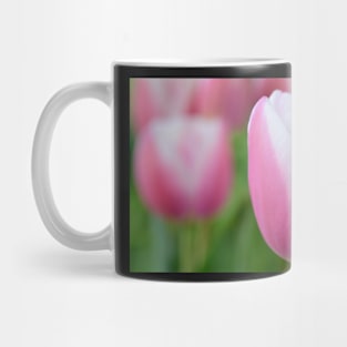 Tulipa &#39;Valentine&#39; Triumph Group Tulip Mug